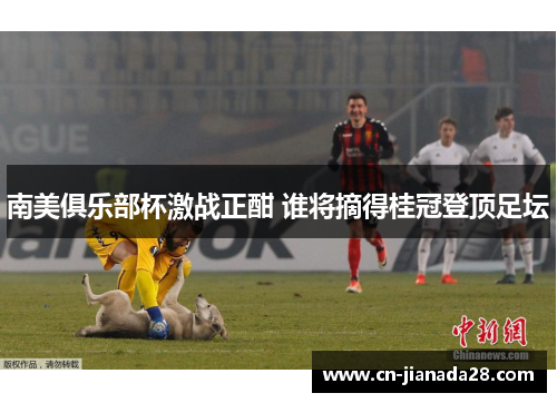 南美俱乐部杯激战正酣 谁将摘得桂冠登顶足坛 南美俱乐部杯激战正酣 谁将摘得桂冠登顶足坛